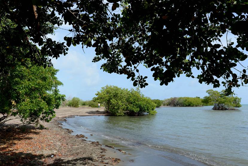 Según la Junta de Planificación, el Plan Sectorial de la Reserva Natural  Punta Petrona, en Santa Isabel, no tiene un reglamento de ordenación y clasificación, por lo que recomendó al Ejecutivo su eliminación. (GFR Media)
