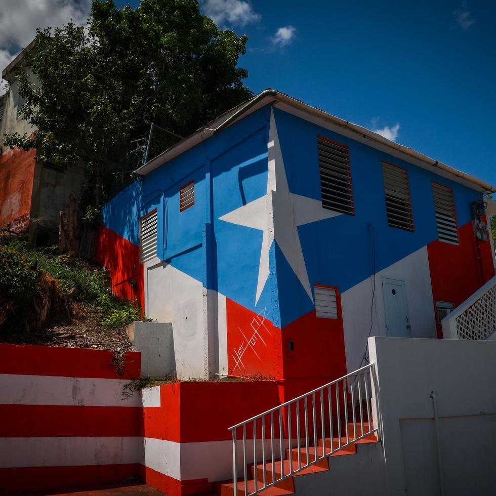 Bandera de Puerto Rico pintada por Hector Collazo.