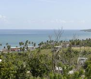 Vista hacia la playa Guayanés en Yabucoa.