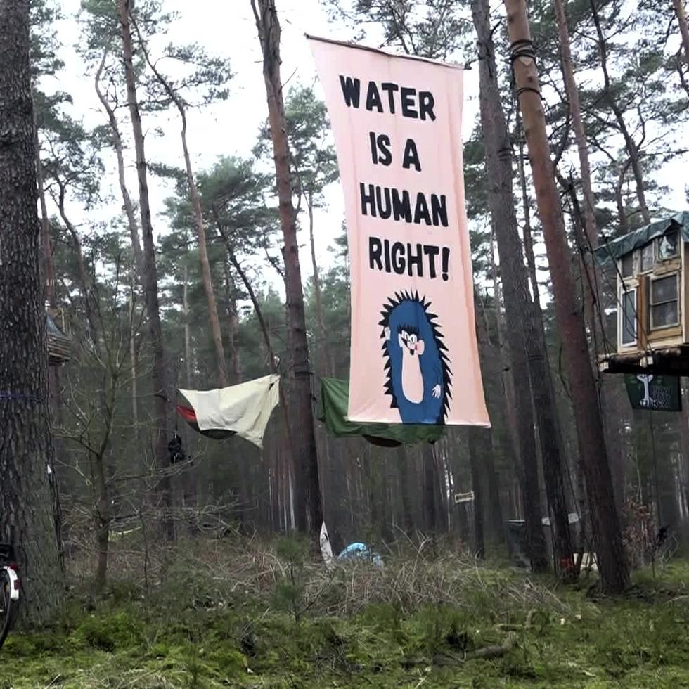 Activistas ocupan un área del bosque en Groenheide, Alemania
