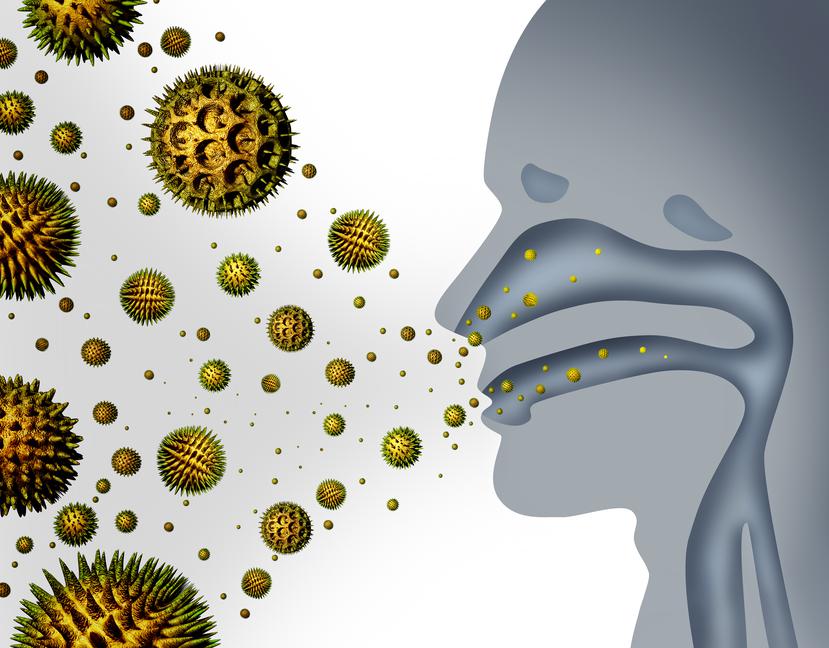 El asma es una enfermedad de los pulmones donde las vías respiratorias se cierran o se estrechan, causando dificultad para respirar. (Shutterstock)