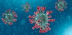 El coronavirus SARS-CoV-2 ha experimentado miles de mutaciones desde que los primeros casos fueron detectados en Wuhan, China entre noviembre y diciembre de 2019.