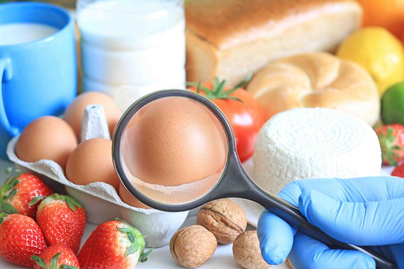 Múltiples estudios han señalado que introducir tardíamente el huevo, la avena y el trigo, por ejemplo, estaba asociado a un aumento en las alergias en los niños. (Foto: Shutterstock.com)
