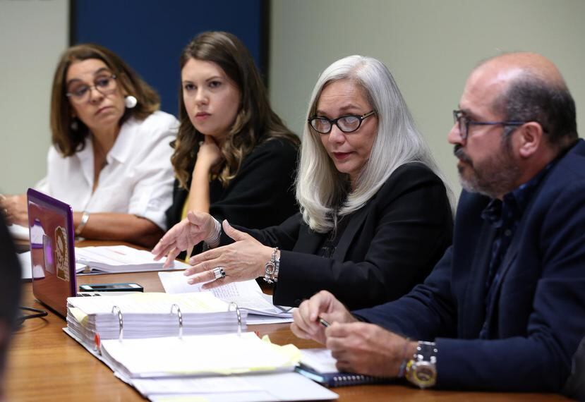 En la foto, desde la izquierda, Sara Benítez, Johanna Pinette, Esther Vicente y Osvaldo Burgos, quienes criticaron la medida bajo discusión.