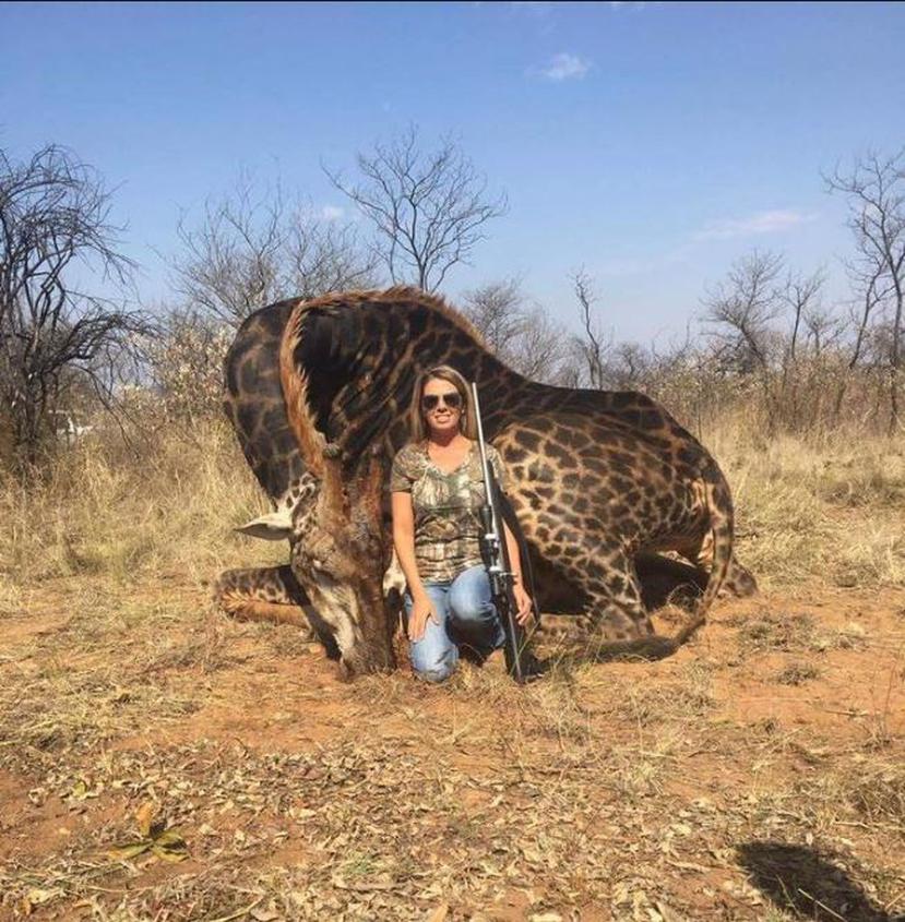 El viaje de caza se produjo en junio de 2017, pero las imágenes de la estadounidense posando con la jirafa se volvieron virales en los últimos días. (Foto/ Twitter)