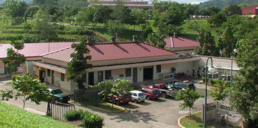 Vista de la biblioteca de la UPR en Utuado. (GFR Media/Archivo)