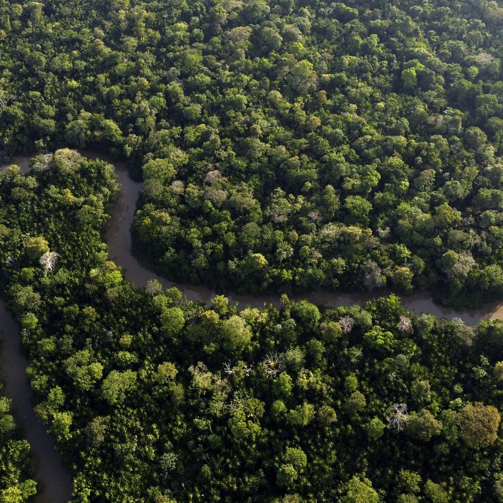 Vista de la selva amazónica con el río Guama y la isla Combu cerca de Belem, Brasil, 6 de agosto de 2023.