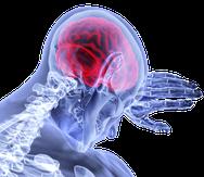 La esclerosis múltiple (EM) es una enfermedad del sistema nervioso que afecta al cerebro y la médula espinal. (Pixabay)