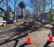 Tres ramas bloquean una calle el domingo 1 de enero de 2023, en Sacramento, California.