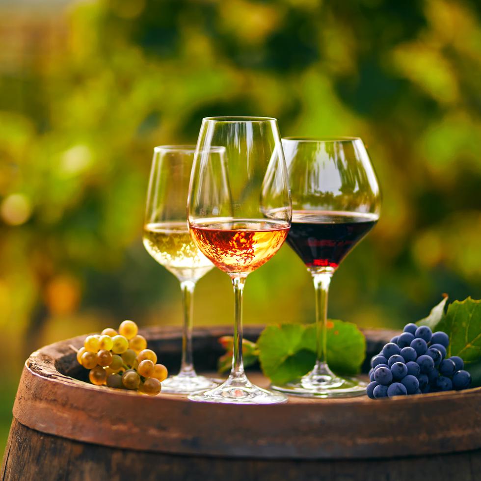 "La vida de un vino en el tiempo está íntimamente ligada a algunas de sus características y, a su vez, determinada por la presencia de sustancias como ácidos, taninos, alcohol, minerales y azúcares", Sandro Giulimondi.
