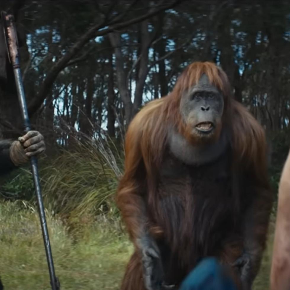"Kingdom of the Planet of the Apes" estrenó en los cines el jueves, 9 de mayo de 2024.