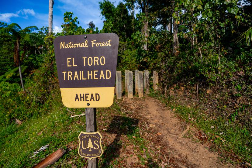En la foto se aprecia el sendero El Toro Trail.