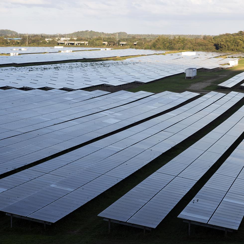 Humacao, Puerto Rico, Marzo 02 2023 — Vista parcial  de paneles solares de Humacao Solar Proyect. Donde una vez fue una finca agrícola. 

FOTO POR:  
xavier.araujo@gfrmedia.com
Xavier Araujo / GFR Media


