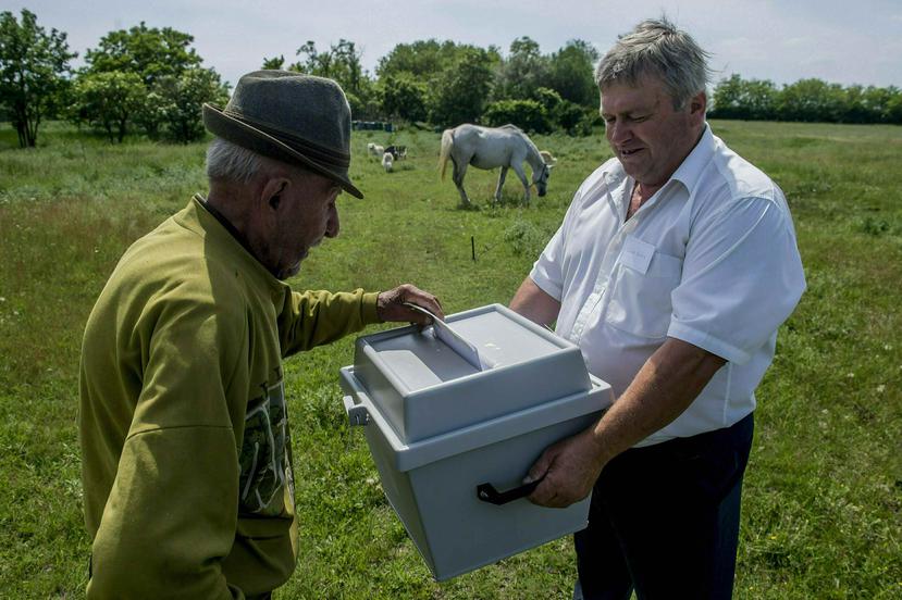 Antal Matyus (izquierda) vota mientras el funcionario electoral Bela Deak sostiene una urna móvil durante las elecciones para el Parlamento Europeo en su granja en Szentkiraly, Hungría, el domingo 26 de mayo de 2019. (Sandor Ujvari / MTI vía AP)