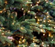 Evite colocar los árboles de Navidad naturales cerca de fuentes de calor.