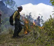 En la isla hay cinco brigadas de bomberos forestales, en Ponce, Guánica, Juncos, Arecibo y Cabo Rojo. Esta última se mantiene activa todo el año, y su misión es mitigar incendios, precisó el comisionado de Bomberos, Marcos Concepción Tirado.