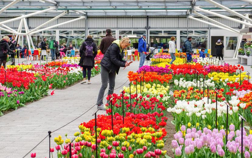 En primavera puedes disfrutar de la feria de los jardines Keukenhof, del 23 de marzo al 14 de mayo en 2023.