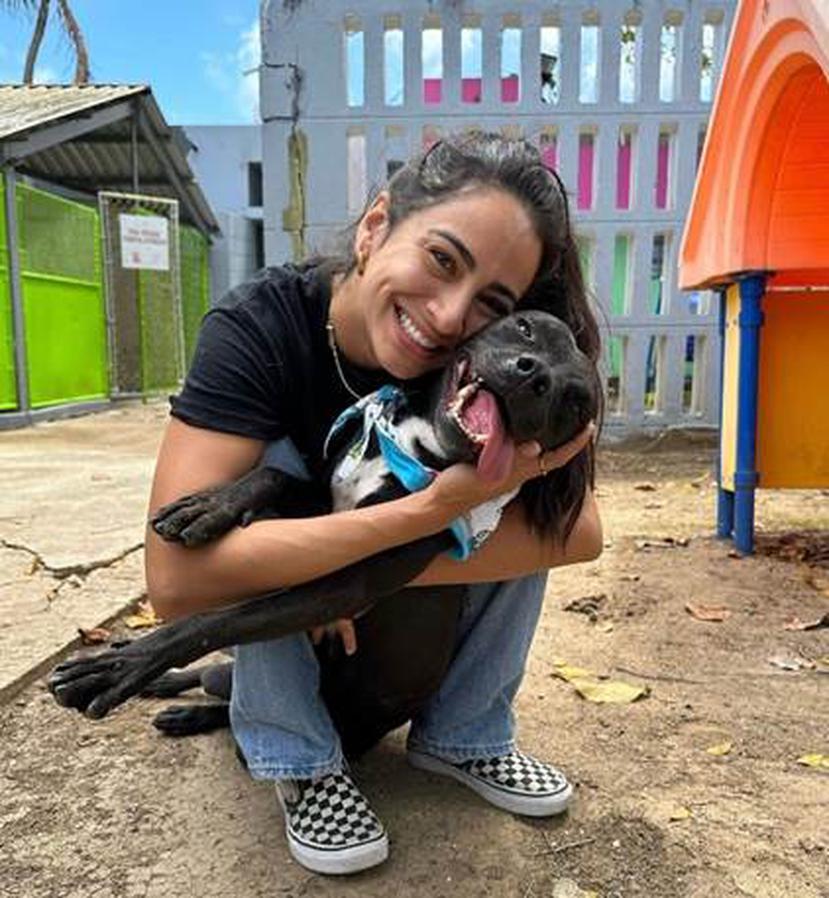 La meta de la campaña, de la que la doctora Adriana Luna forma parte, es vaciar todas las jaulas para así hacer espacio y poder recibir a otros animales que también necesitan hogar.