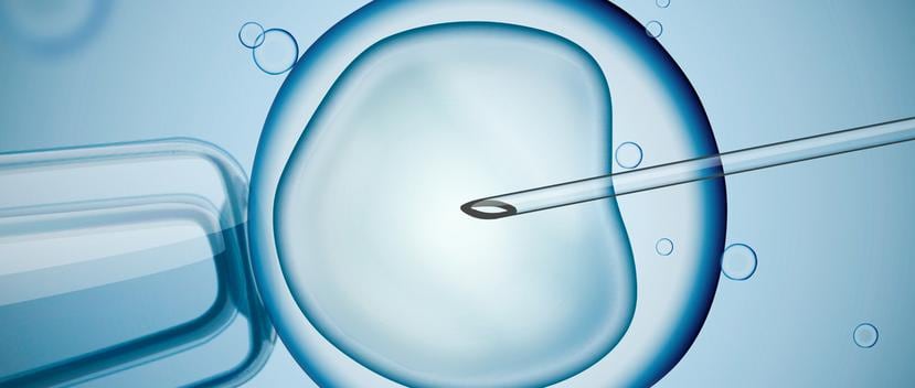 Los padres del bebé decidieron someterse a un tratamiento de fertilidad y los embriones quedaron congelados. (Shutterstock)