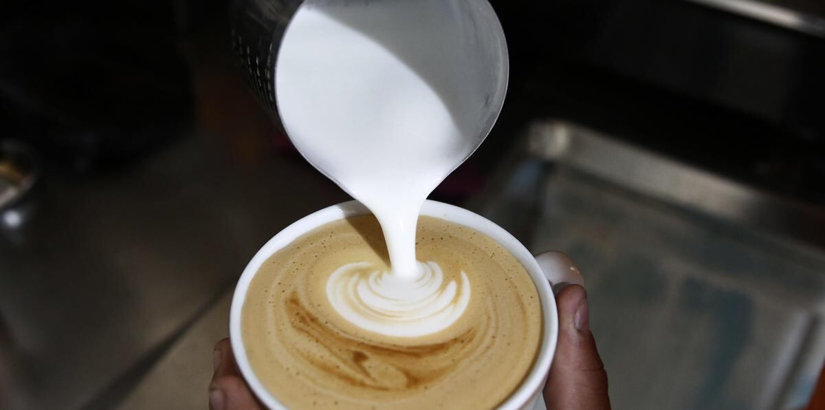El estudio demostró que la  reacción  entre los polifenoles y las proteínas también se produce en el café con leche, lo que sirve como un antiinflamatorio.