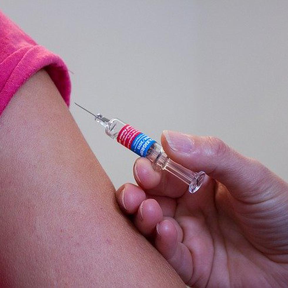 Contarán con todas las vacunas requeridas por el Departamento de Salud de Puerto Rico y las recomendadas por el CDC. (Pixabay)