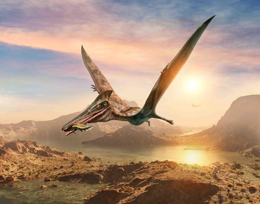 Los pterosaurios fueron los primeros vertebrados en conquistar el aire. (Shutterstock)