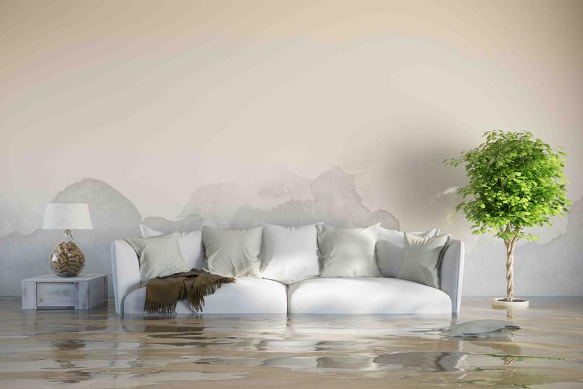 Según el comisionado de Seguros, las personas deben contemplar comprar seguros más completos como Home Mortgage o Personal Mortgage, así como añadir un seguro de Flood o inundaciones.  (Shutterstock.com)