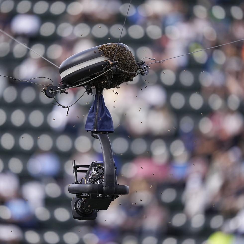 Las abejas pululan alrededor de una cámara durante un partido de cuartos de final del torneo de tenis BNP Paribas Open, el jueves 14 de marzo de 2024, en Indian Wells, California.