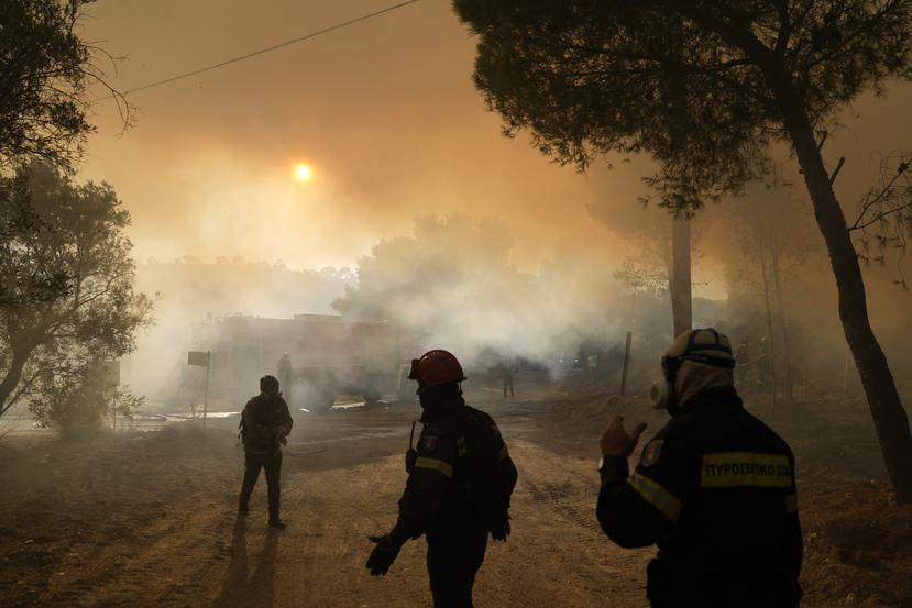 Los bomberos operan durante un incendio forestal en la aldea de Siderina a unas 34 millas al sur de Atenas, Grecia.