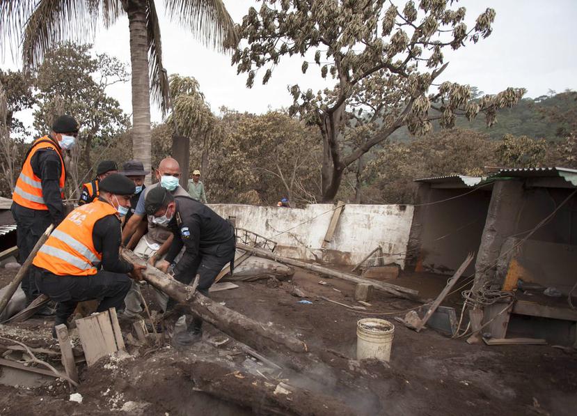 Muchos cuerpos fueron hallados entre los escombros de la comunidad de San Miguel Los Lotes, la cual quedó enterrada bajo miles de toneladas de material volcánico. (AP).