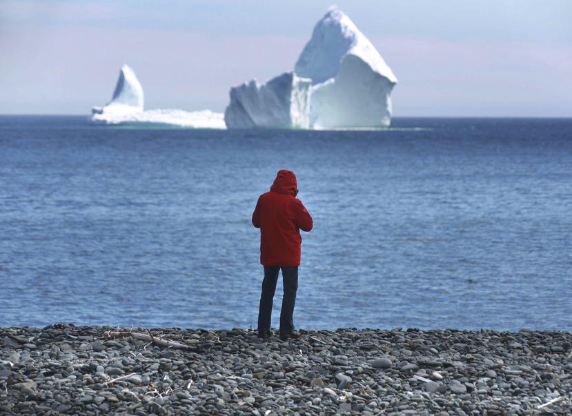 La popularidad del iceberg provocó fuertes atascos en la carretera que conecta Ferryland con San Juan de Terranova. (AP)