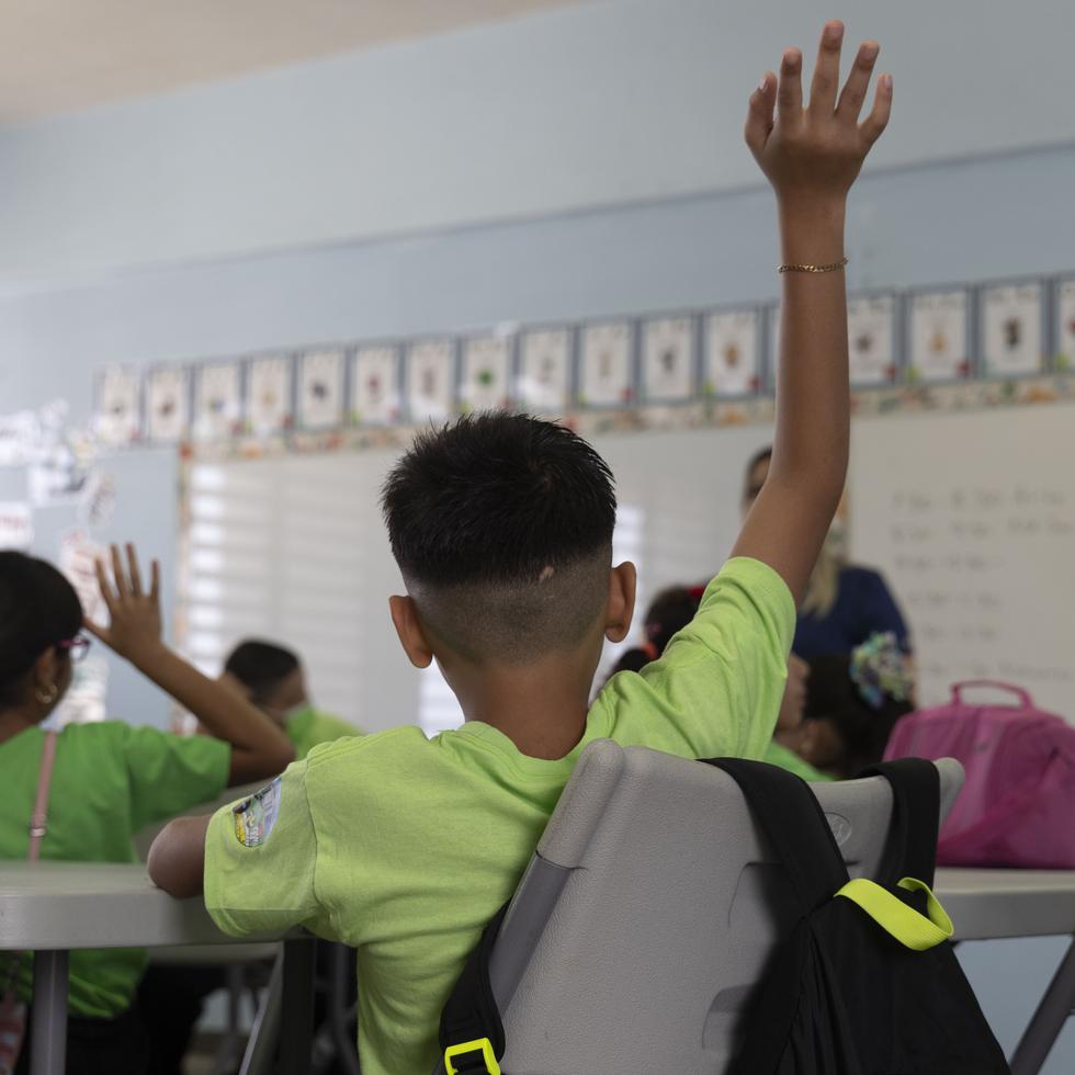 La directora de la escuela elemental Amalia López de Ávila de Camuy, Migdalia Muñiz Santiago, precisó que cuenta con una matrícula de 250 estudiantes, de los cuales 112 son del programa de Educación Especial.