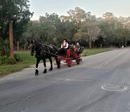 Entre las actividades opcionales que se pueden disfrutar en el rancho y sus alrededores se encuentran paseos en ponis para los chicos o paseos en carretas tiradas por caballos.