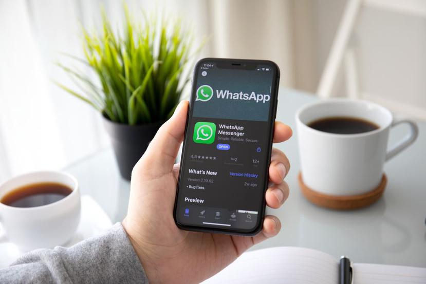 WhatsApp lanzó su nuevo "modo oscuro". (Shutterstock)