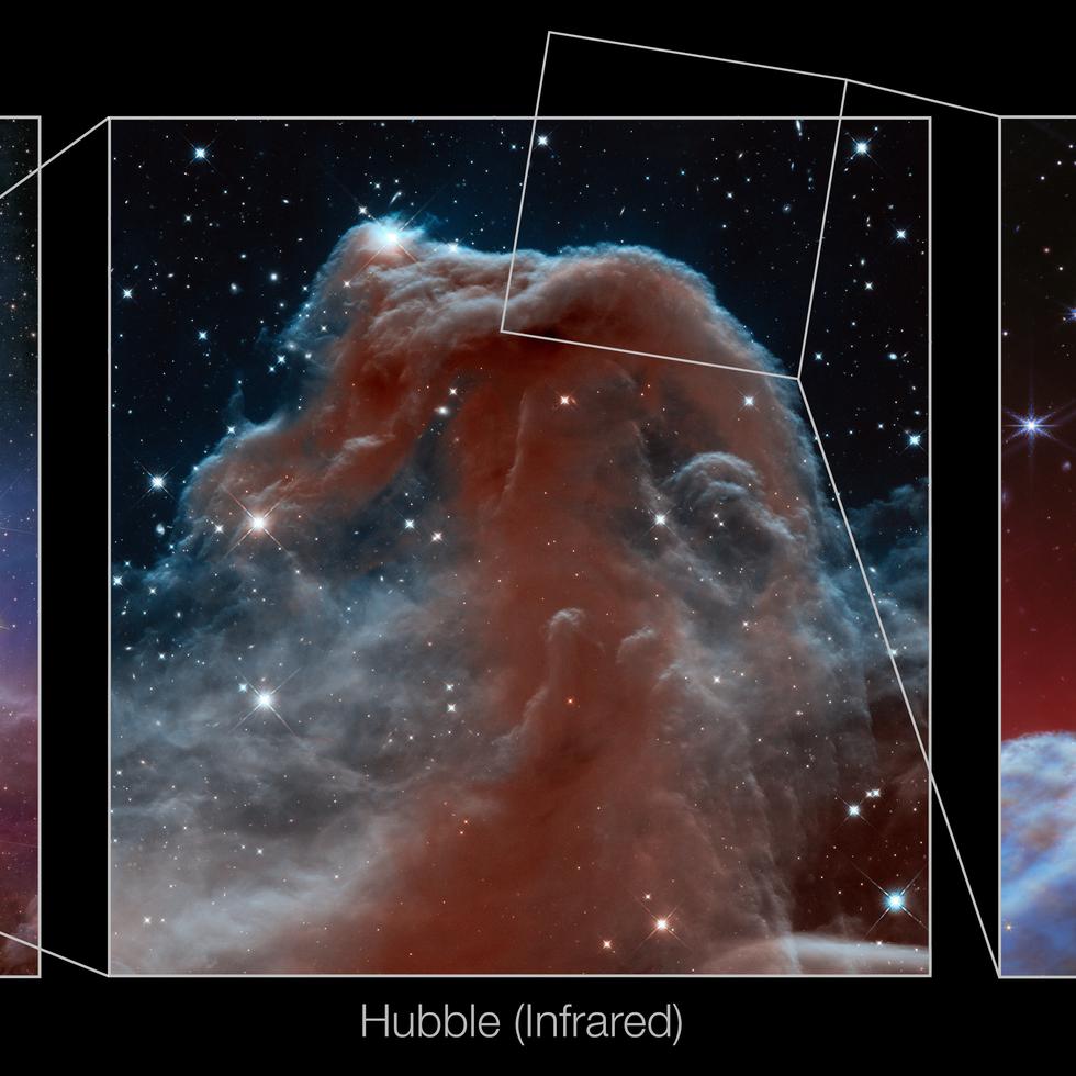 El telescopio espacial James Webb ha captado imágenes de la icónica nebulosa "Cabeza de Caballo" -una nube de gas fría situada a unos 1,300 años luz de la Tierra- con un nivel de detalle y una resolución sin precedentes.