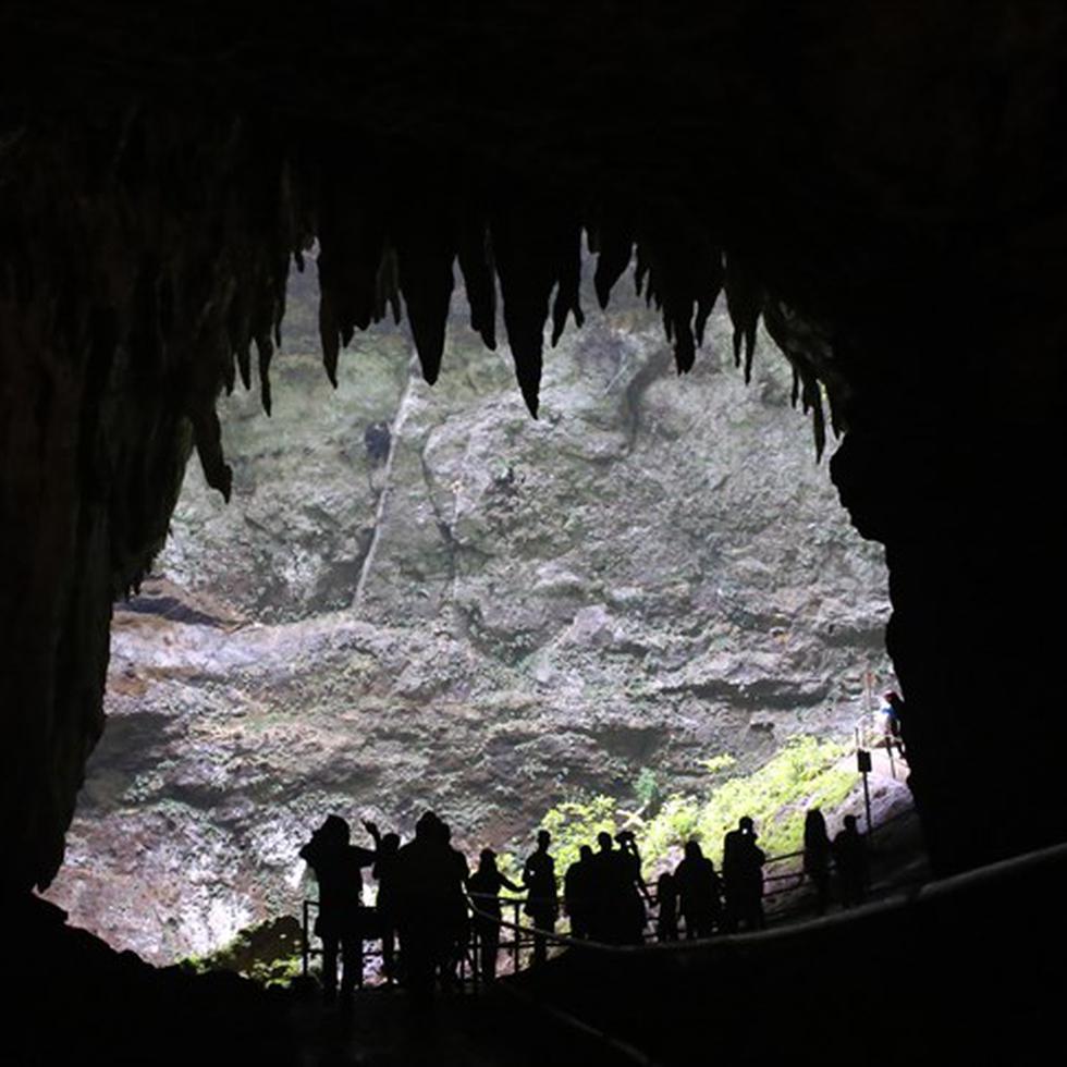 Cavernas del Río Camuy. (Archivo)
