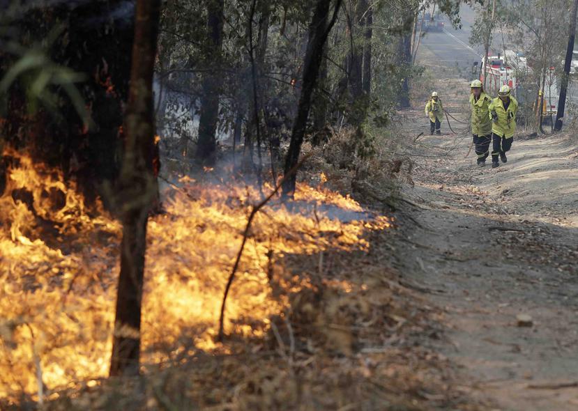 Bomberos atienden un fuego forestal en Bendalong, Australia. (AP)