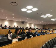 Sesión del Comité de Descolonización de las Naciones Unidas.