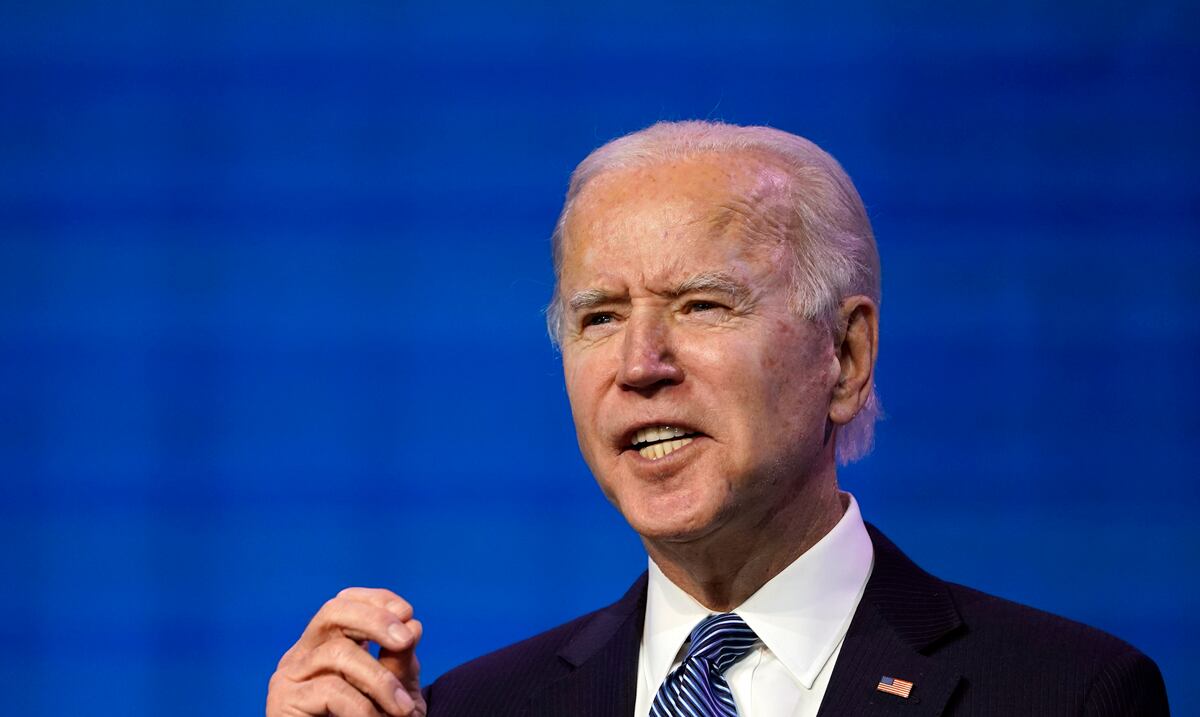 Joe Biden: “We did not see any manifesto.  They are domestic terrorists ”