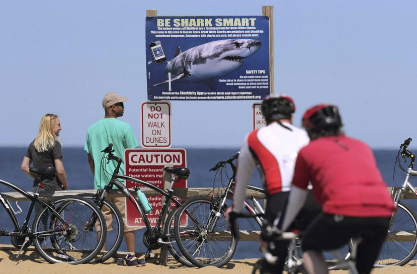 Varios ciclistas se paran junto a un cartel de advertencia de tiburón mientras al fondo se observa la playa Lecount Hollow en Wellfleet, Massachusetts. (AP)