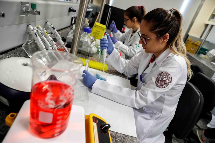 Científicas brasileñas trabajan en el laboratorio de Inmunología del Instituto del Corazón (Incor) de la Facultad de Medicina de la Universidad de Sao Paulo. (EFE)