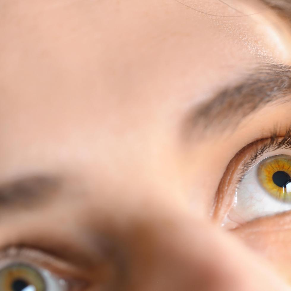 La presbicia o vista cansada una afección ocular común y progresiva a partir de los 40 años.