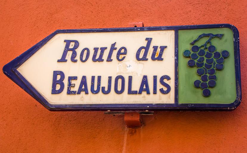 Parcelas diseminadas por todo el Beaujolais ofrecen vinos distintivos y expresivos que reflejan las características únicas de su suelo y microclima.