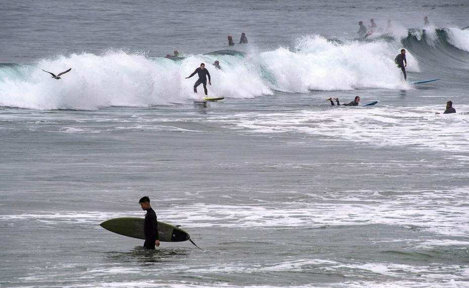 Surfistas se lanzan al agua en Newport Beach, California, luego de que se emitiera el aviso de tsunami.