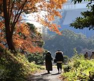 Tokio en otoño