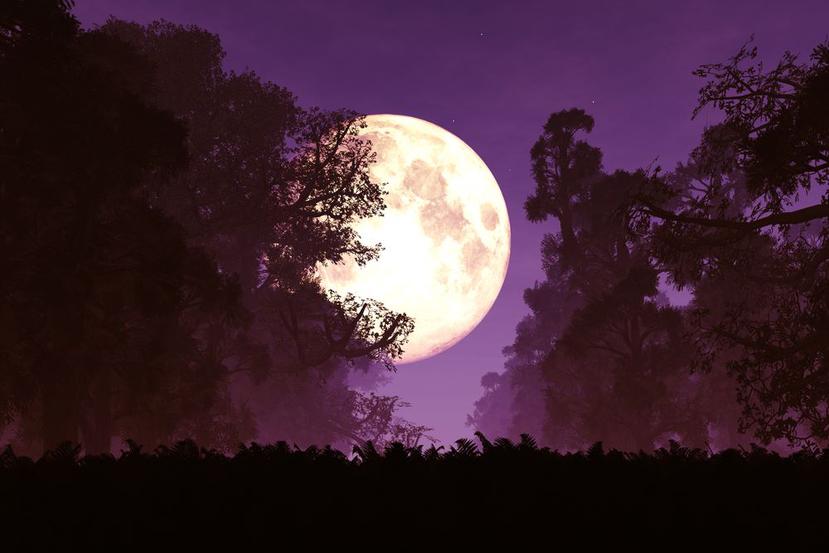 La superluna rosa se caracteriza por ser más brillante. (Shutterstock)