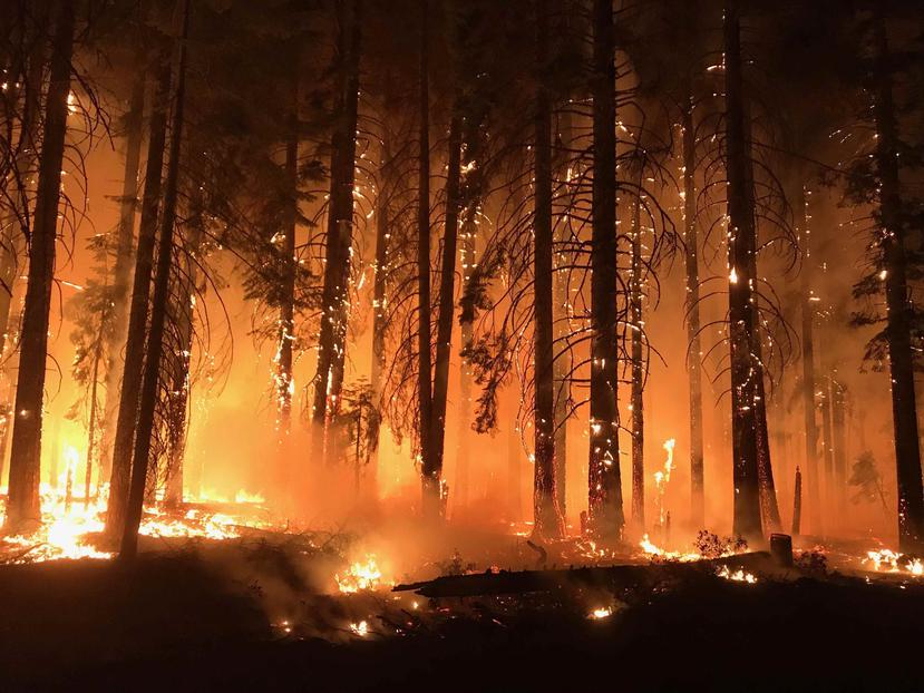 Fotografía cedida por el Servicio Forestal Estadounidense (USFS) y el Grupo de Coordinación Nacional de Incendios que muestra las llamas del incendio de Camp Fire, California. (AP)