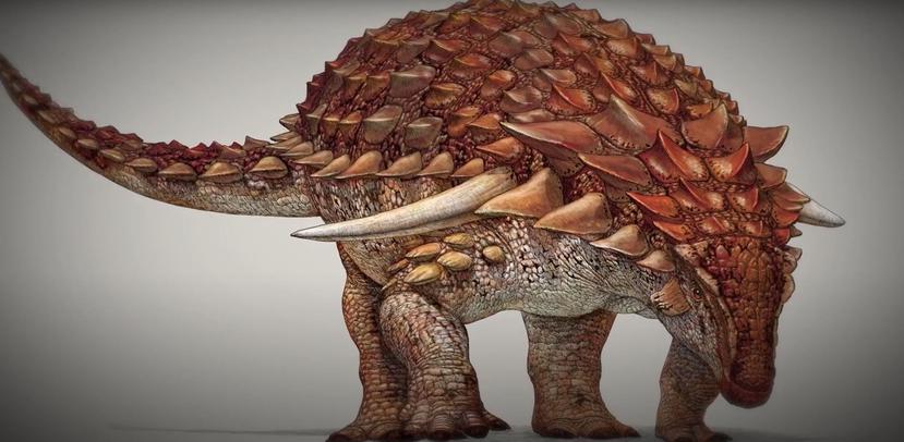 (Fotocaptura Royal Tyrrell Museum of Palaeontology)