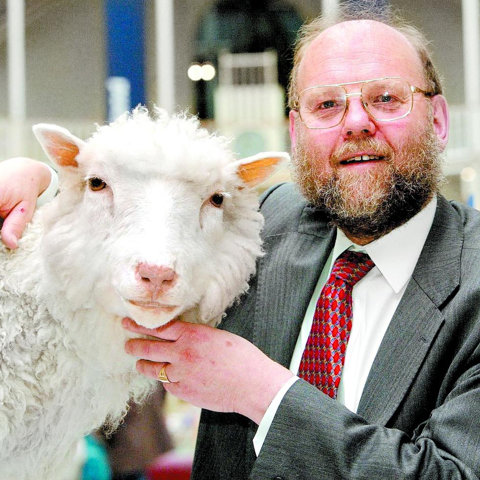 La oveja Dolly fue clonada a través de una técnica ideada por el profesor Ian Wilmut, en lo que se considera un disparo de salida de una revolución científica que abrió infinitas oportunidades para la medicina regenerativa, la biología y la agricultura.