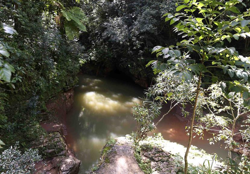 El incidente ocurrió en el río Tanamá, en Utuado. (GFR Media)